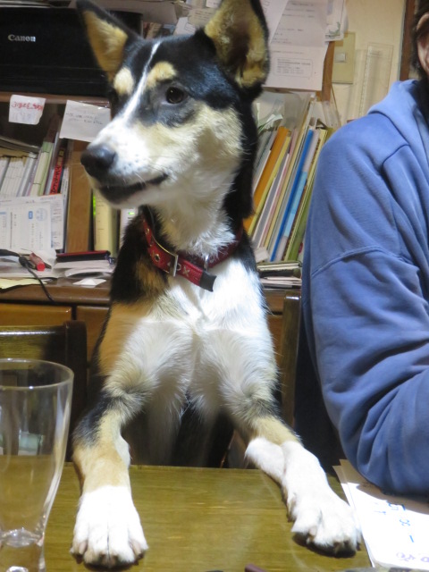 c0323917_02969.jpg