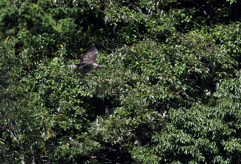 f0288418_23504131.jpg