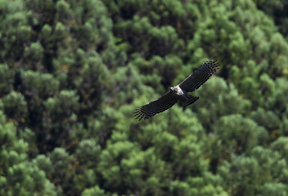 f0288418_23513312.jpg