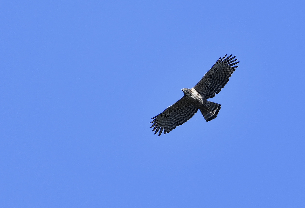 f0288418_23521410.jpg