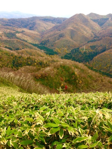 近くて遠かった稀府岳登山_f0147821_21563087.jpg