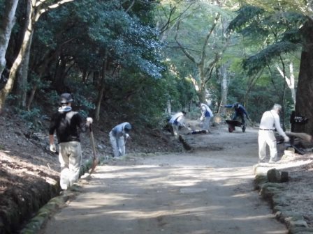 宮島さくら・もみじの会 平成28年度第5回作業_f0229523_133733.jpg