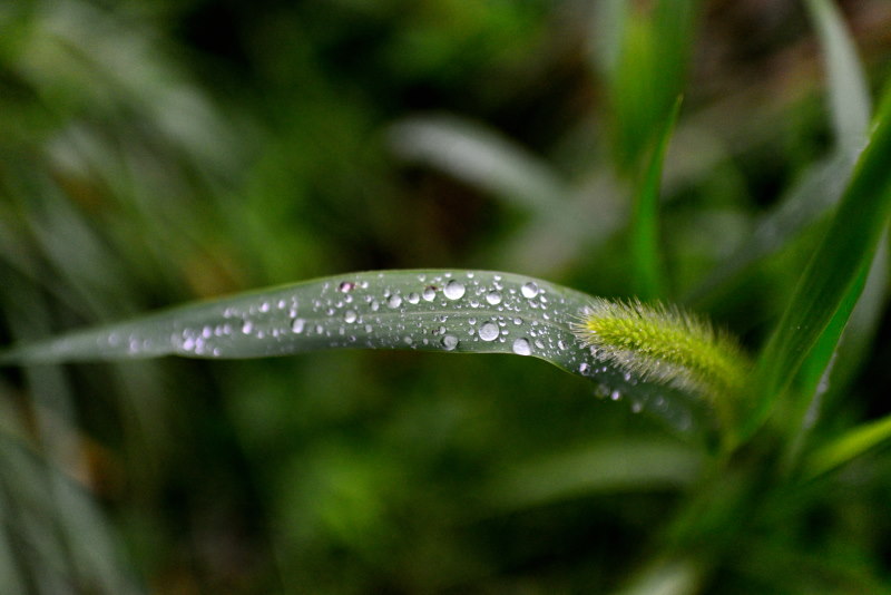 雨の合間のお散歩_a0355726_23543483.jpg