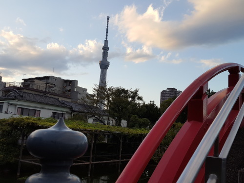 e0016828_10395808.jpg