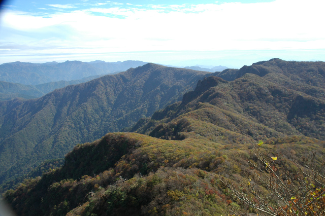 e0272335_54745.jpg