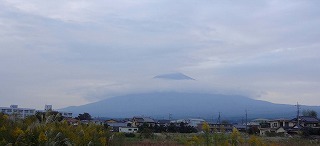 だぁれもこない＆今日の富士山_a0167836_14565979.jpg