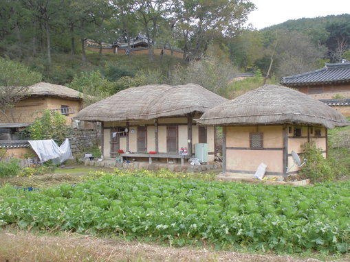 a0223037_148084.jpg