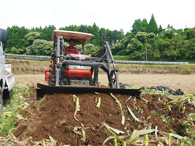 熊本産ステビアにんにく 無農薬、無化学肥料のステビアにんにく!平成28年度分は残りわずかです!_a0254656_17443349.jpg