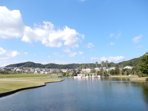 ’16,10,28(金)興津海岸までの3時間散歩!_f0060461_101083.jpg