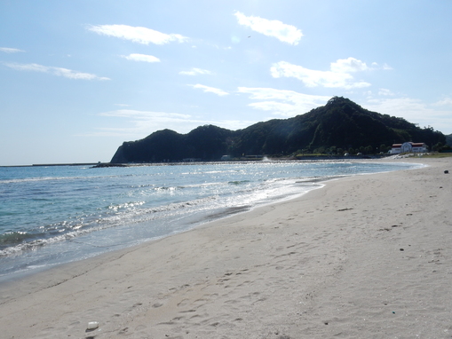 ’16,10,28(金)興津海岸までの3時間散歩!_f0060461_111403.jpg