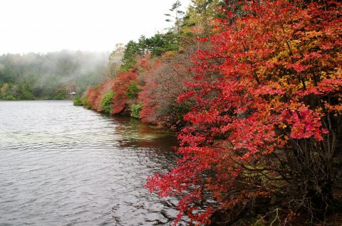 e0045768_22998.jpg