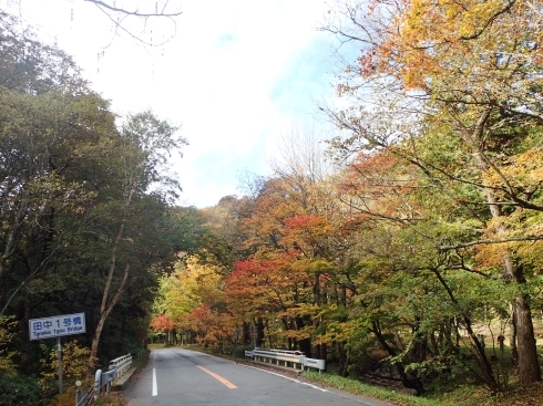 f0350468_14574486.jpg