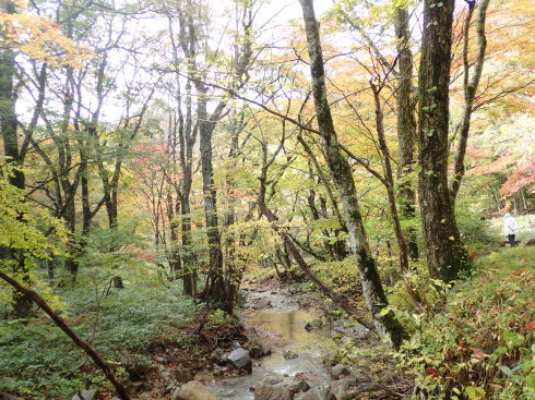 f0350468_14582275.jpg