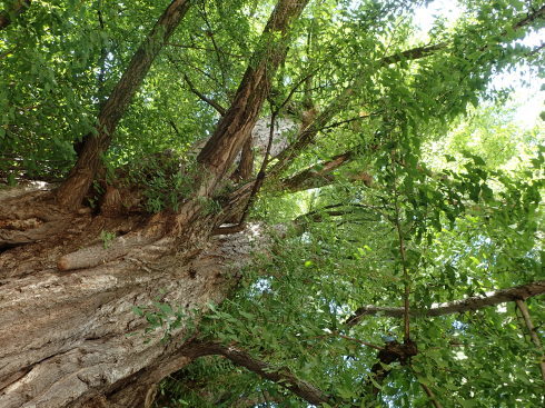 f0350468_15190243.jpg