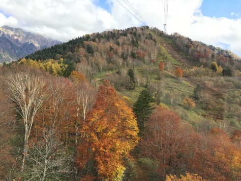 f0350468_15431101.jpg