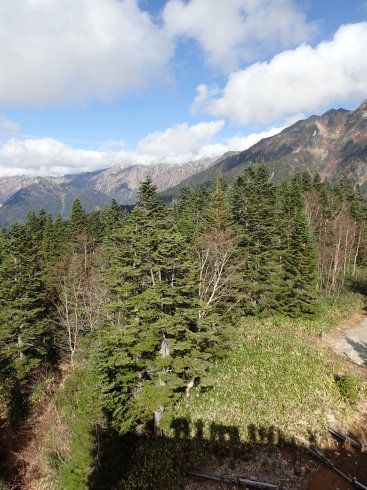 f0350468_15454780.jpg