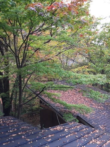 f0350468_15523981.jpg