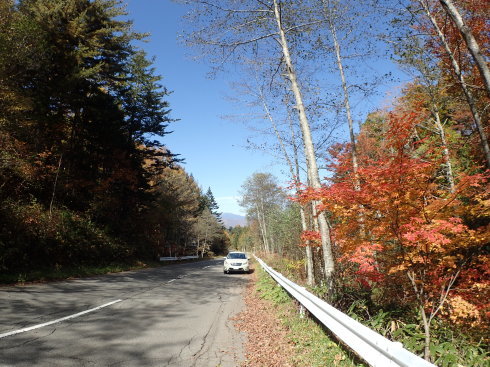 f0350468_16344353.jpg