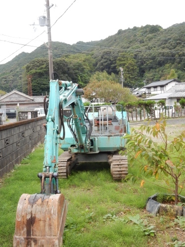 「猫楠舎だより」最新号_f0054677_08230775.jpg