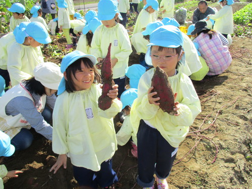 秋の楽しいこと盛り沢山♪_f0195982_1648852.jpg