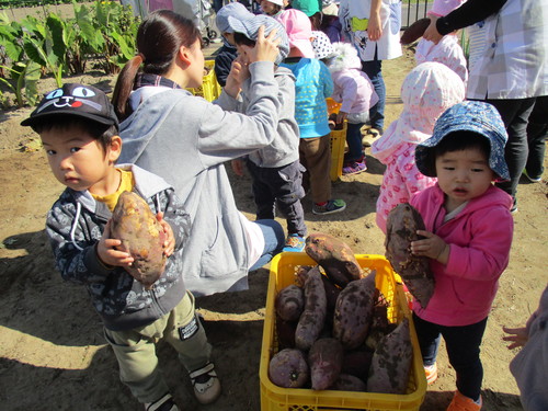 秋の楽しいこと盛り沢山♪_f0195982_16495074.jpg