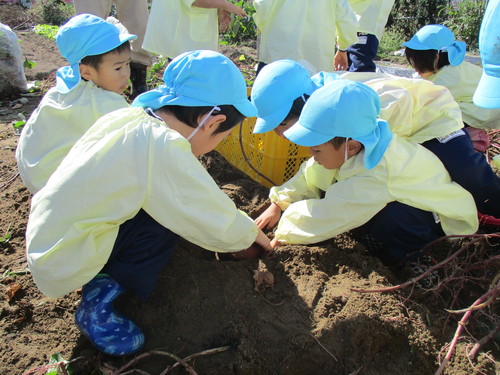 秋の楽しいこと盛り沢山♪_f0195982_16512969.jpg