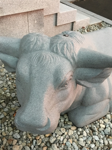 お盆も終わり 花持ち帰り週間 〜習慣へ_a0274383_07141243.jpg