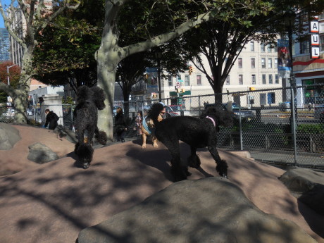 c0253487_04084640.jpg