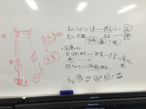 みなとみらいランドマークプラザで、指圧治療技術研究会。_a0112393_17195192.jpg