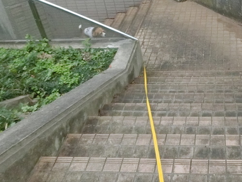 a0319693_6525999.jpg
