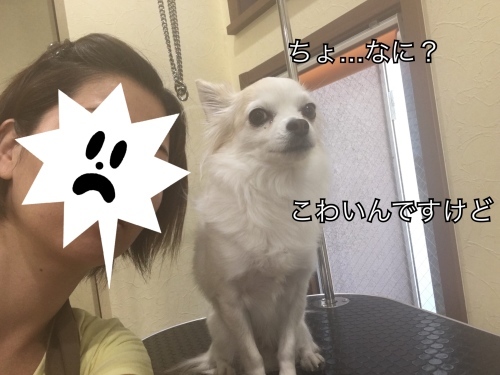 d0269898_10301288.jpeg