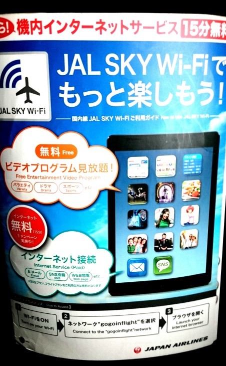 空から投稿!_b0083801_12442518.jpg