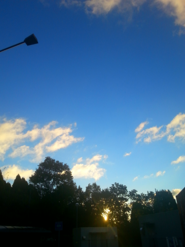 c0368903_06592833.png