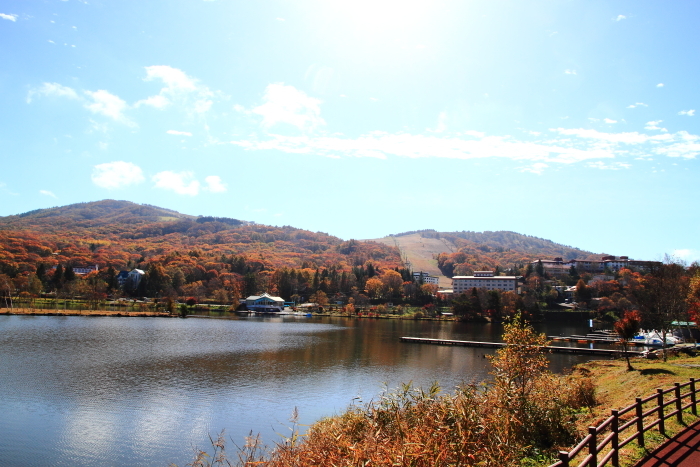 e0174008_17353133.jpg