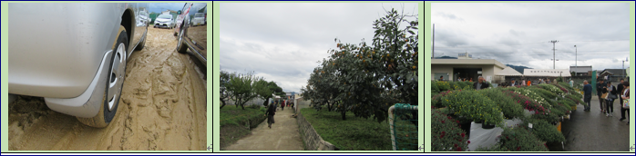 f0231709_23121795.png