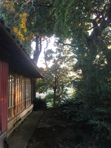 1年ぶりの投稿です。_f0236311_10461225.jpg