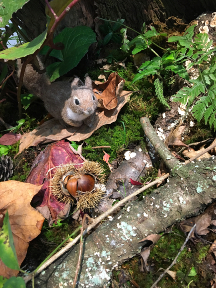 コトコトの森_f0236311_12300779.jpg