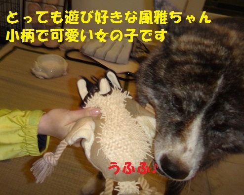 f0121712_14481429.jpg