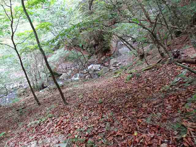 a0243317_8602.jpg