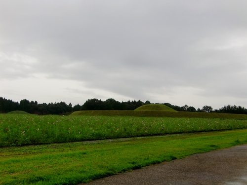 c0219820_208470.jpg