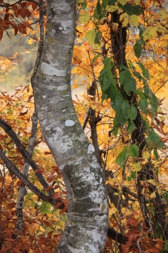 e0242721_07492051.jpg