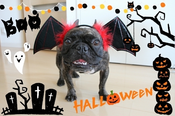 みんなのハロウィン注目記事①プラチナブロガー編_f0357923_12491703.jpg