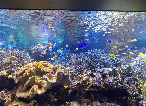 a0108328_16504927.jpg