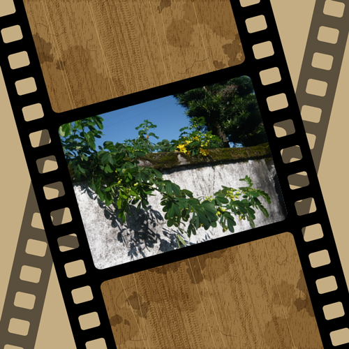 a0206332_13094927.png