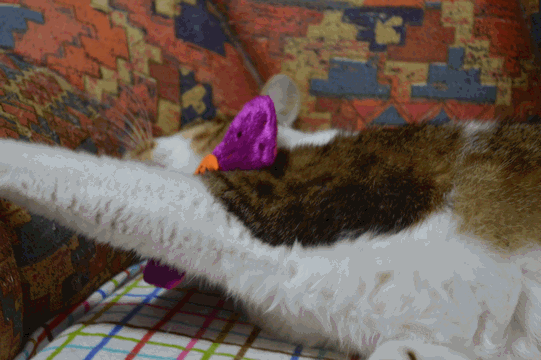 c0136736_18315340.gif