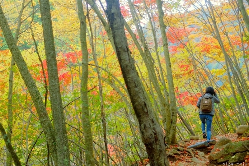 Autumn Hiking In Nishizawa Valley_c0228945_07293178.jpg