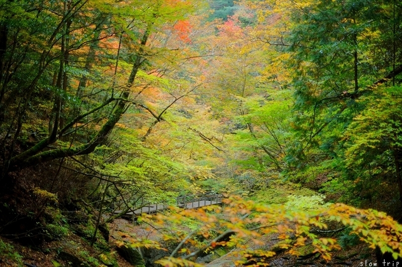 Autumn Hiking In Nishizawa Valley_c0228945_07313274.jpg