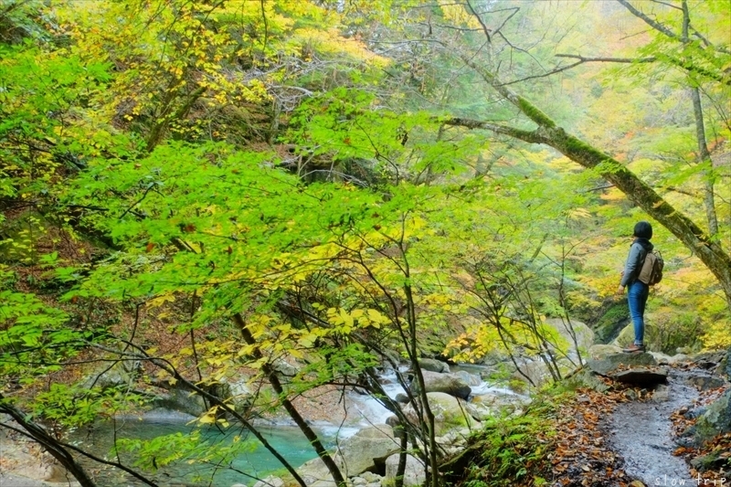 Autumn Hiking In Nishizawa Valley_c0228945_07344529.jpg