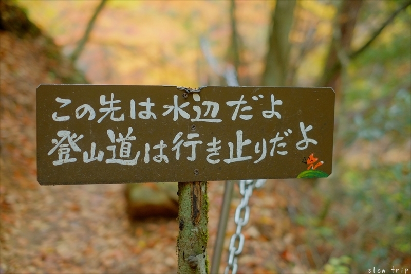 Autumn Hiking In Nishizawa Valley_c0228945_07410204.jpg