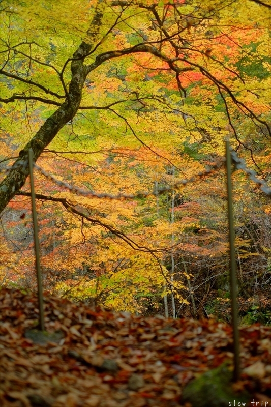 Autumn Hiking In Nishizawa Valley_c0228945_07410309.jpg